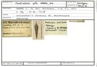 Karteikarte zum Holotyp von Frondicularia pala Karrer, 1870